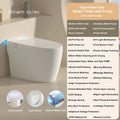 Smart Toilet Built-in Bidet For Bathrooms